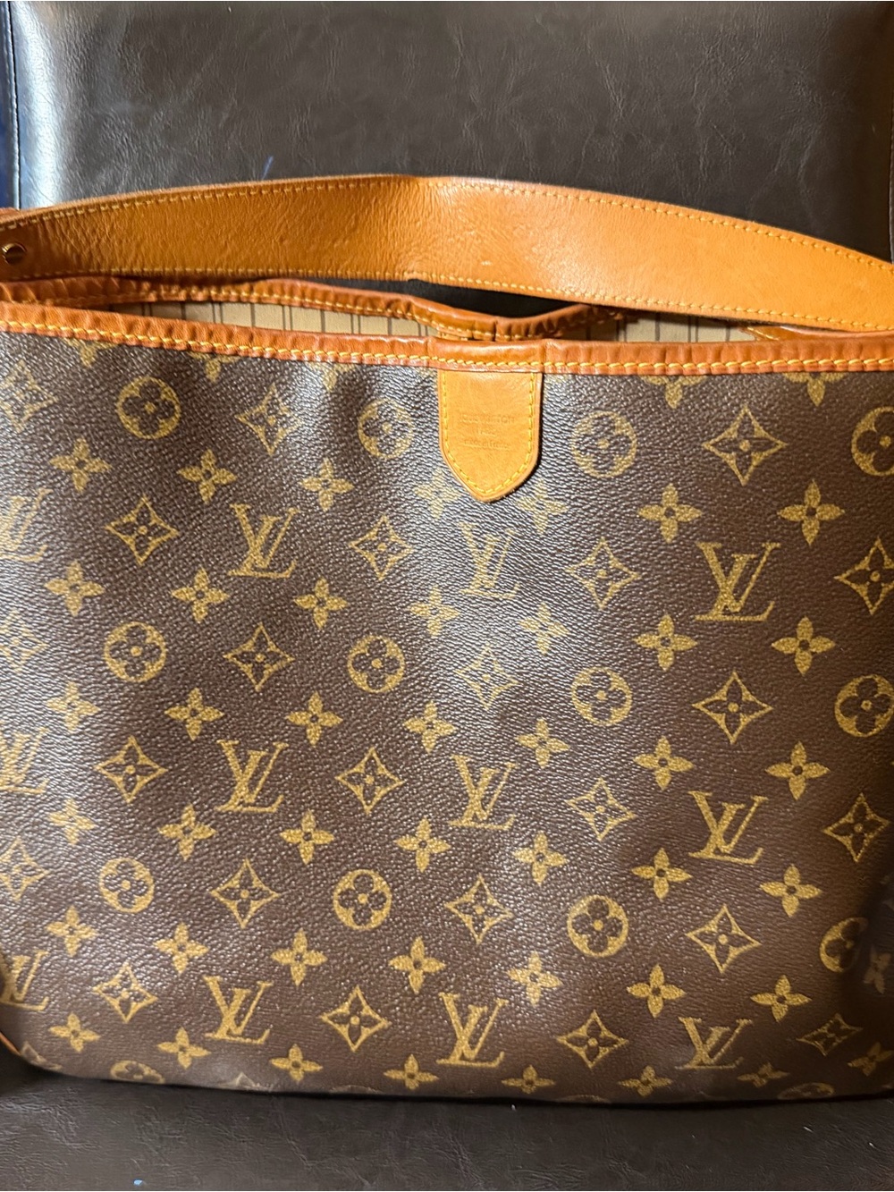 Louis Vuitton Delightful